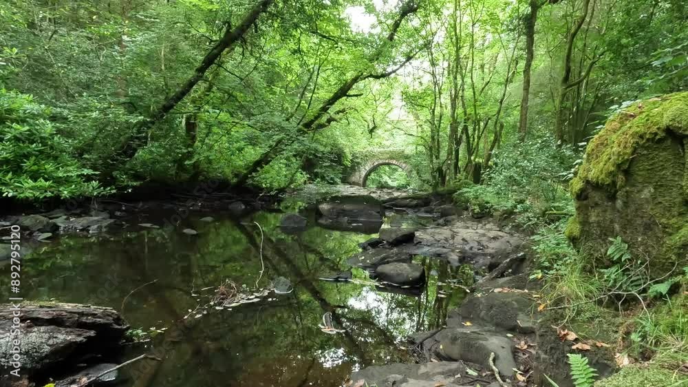 Flowing River stream Creek Wilderness Ireland Scotland Wales Forest Woods Trees Calm Peaceful Loop Nature Picnic Flowing River stream Creek Wilderness Ireland Scotland Wales Forest Woods Trees Calm Peaceful Loop Nature Picnic