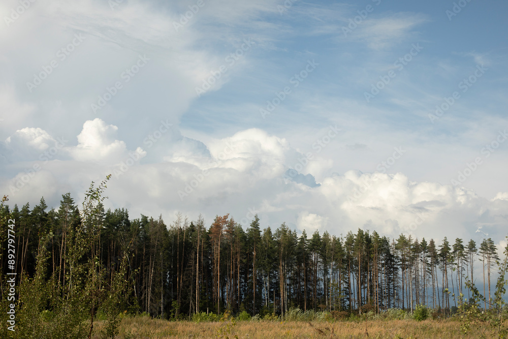 Summer landscape with clouds and forest. Forest is on horizon. Rain clouds. Summer landscape with clouds and forest. Forest is on horizon. Rain clouds.