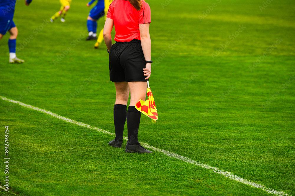 Fototapeta premium Assistant football referee and Referee's flag