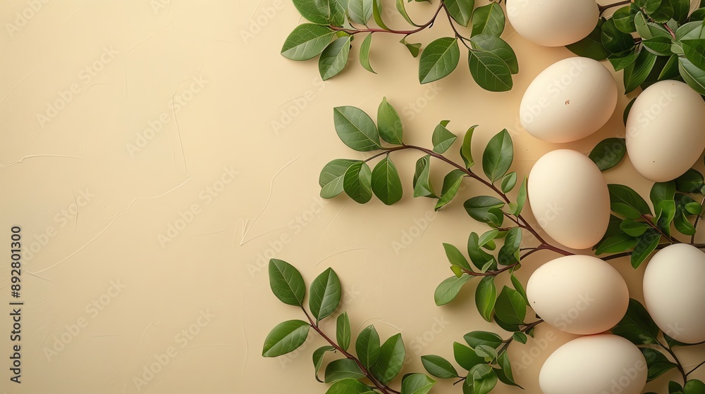 11 Softcolored background with chicken eggs on the right, arranged with branches and leaves for natural beauty 11 Softcolored background with chicken eggs on the right, arranged with branches and leaves for natural beauty