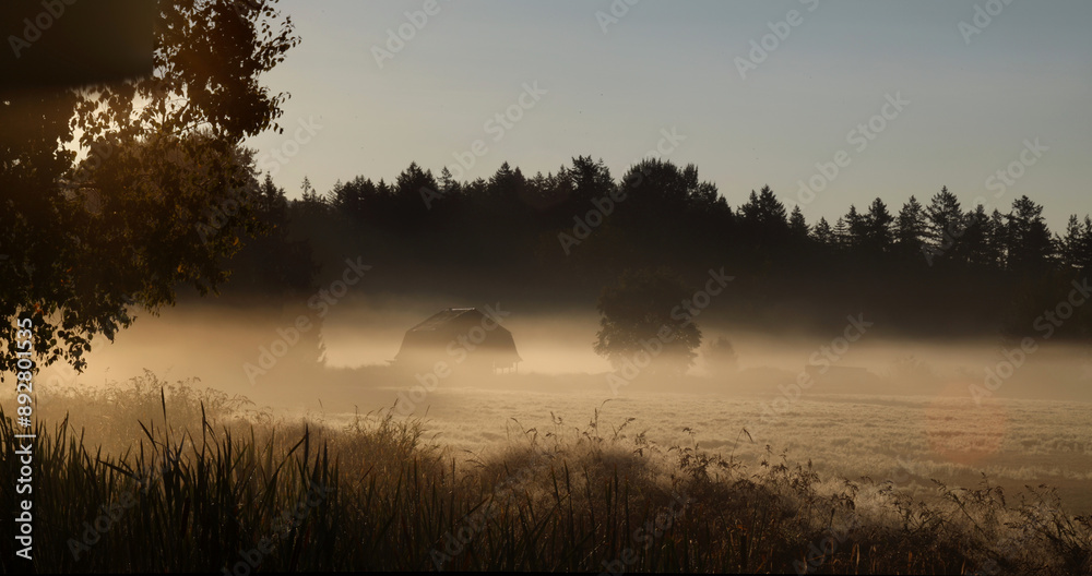 Farmers field in frosty morning with dew and fog Farmers field in frosty morning with dew and fog