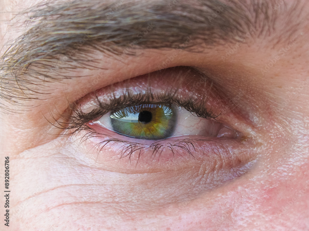 Fototapeta premium close up macro photo of human eye
