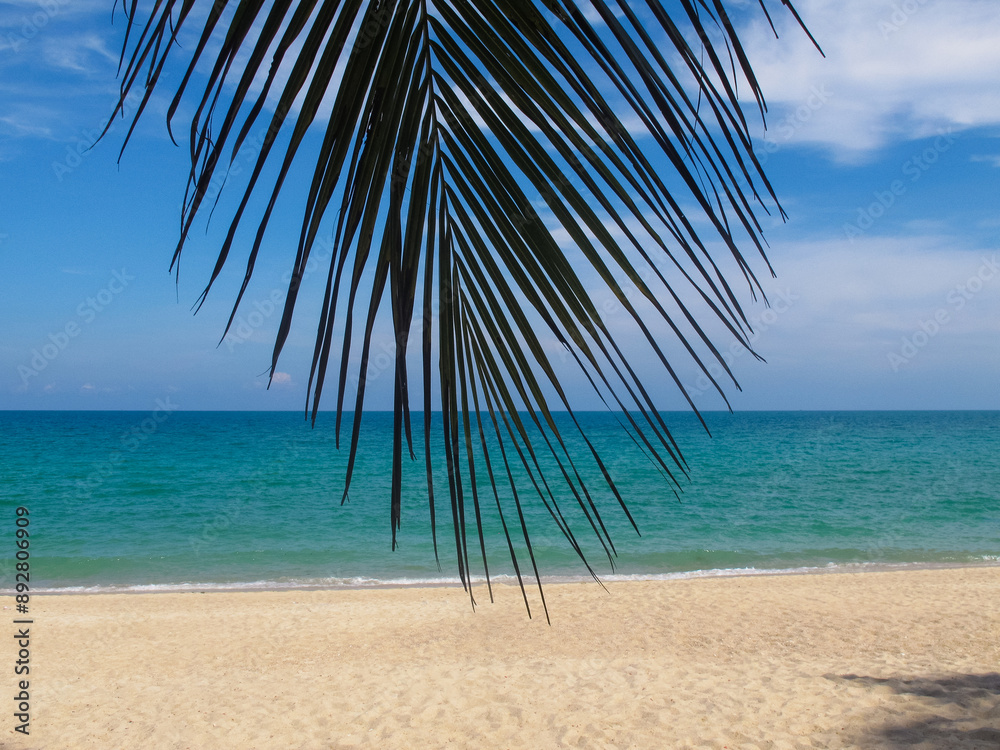 Fototapeta premium beautiful landscape of a sandy beach on the sea