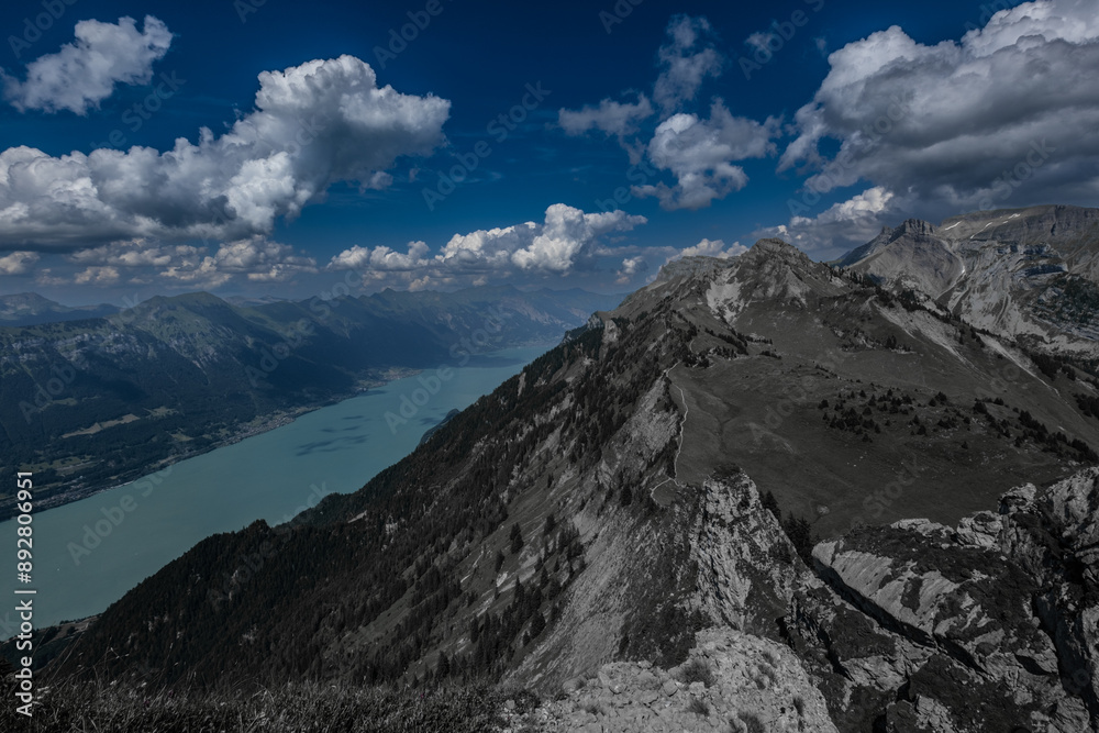 Obraz premium Landscape view of the Swiss alps, shot in Schynigge Plate near Interlaken, Switzerland