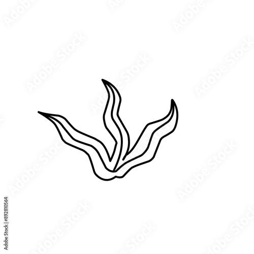 coral and seaweed icon