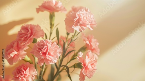 Wallpaper Mural Sunlit pink carnation bouquet on beige backdrop, floral greeting card mockup with copy space. Torontodigital.ca