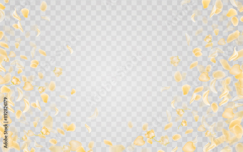 Yellow falling rose or sunflowers petals.Transparent panoramic horizontal background.Amber flower spring template.