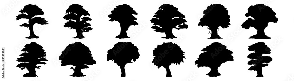 Adobe Illustrator Artwork Adobe Illustrator Artwork