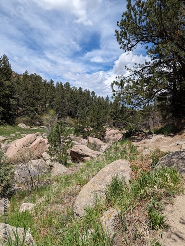 Stones Valley Forest