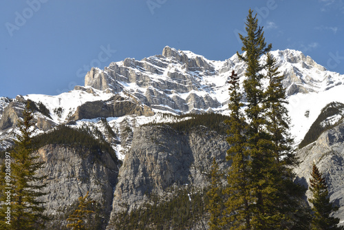 Rocky Mountains with evergreen trees in foreground in Banff National Park, Canada