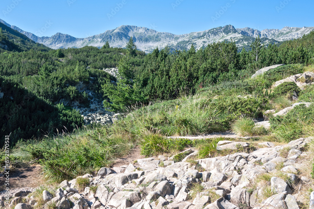 Pirin Mountain around Banderitsa River, Bulgaria Pirin Mountain around Banderitsa River, Bulgaria