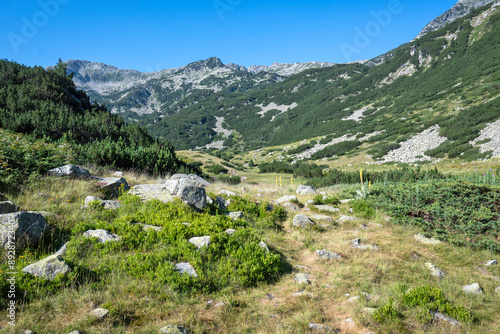 Pirin Mountain around Banderitsa River, Bulgaria photo