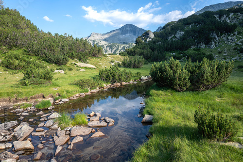 Pirin Mountain around Banderitsa River, Bulgaria photo