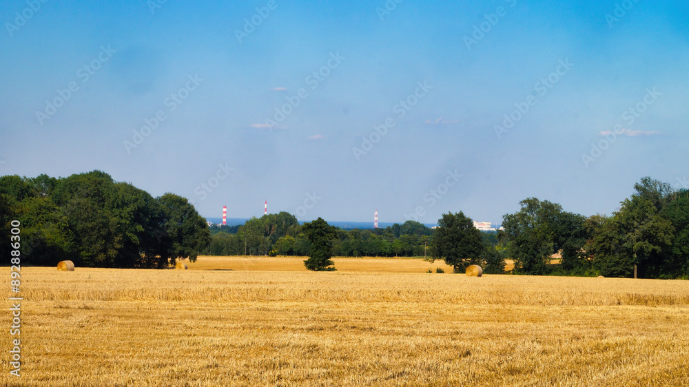 Fototapeta premium hay bales in a field