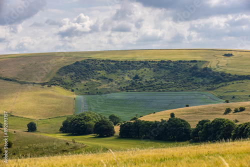 Looking out over a field of flax growing on a Sussex hillside, on a sunny summer's day photo