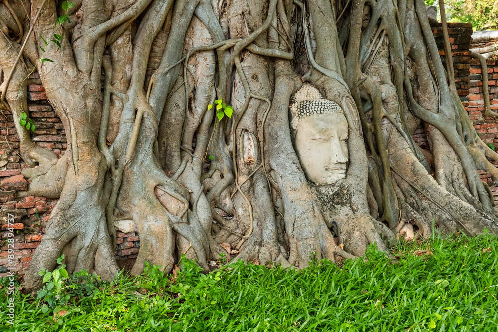 Buddha head in the tree roots in Ayutthaya historical park Wat Mahathat temple, Thailand, Asia. Travel and tourism destination. Landmark of ancient Buddhist temple in Asia Buddha head in the tree roots in Ayutthaya historical park Wat Mahathat temple, Thailand, Asia. Travel and tourism destination. Landmark of ancient Buddhist temple in Asia