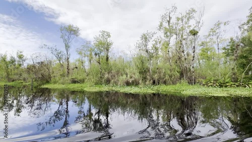 The tour on the spring and St. Johns river at Blue Springs State Park