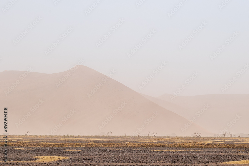 A tree-lined landscape in the Namibia sossusvlei in limited visibility, due to a sandstorm. A tree-lined landscape in the Namibia sossusvlei in limited visibility, due to a sandstorm.