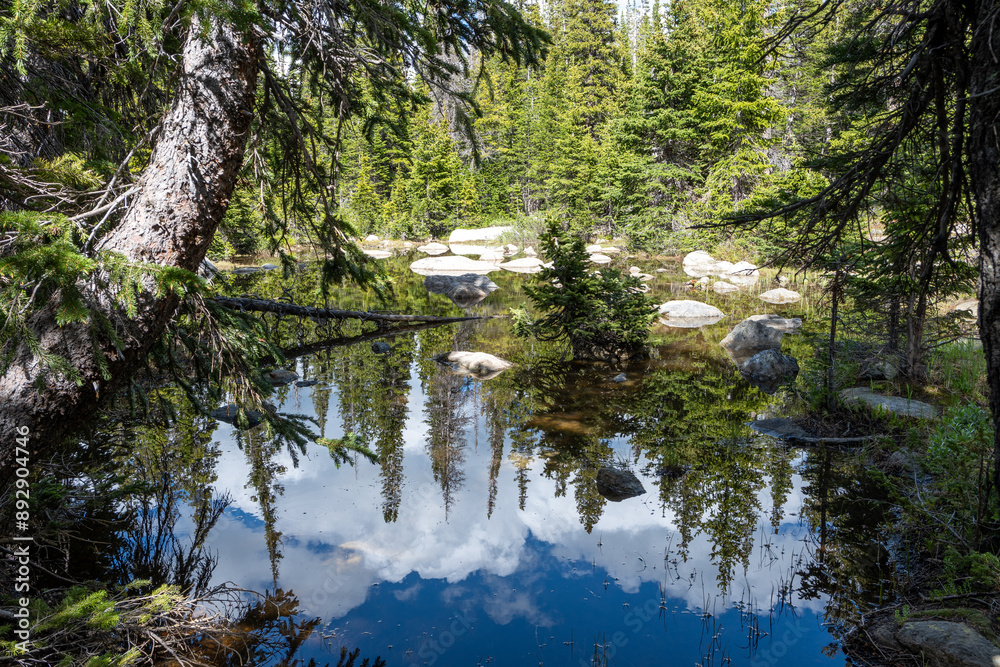 Forest and clouds reflected in calm pond on Lake Isabelle Trail in Brainard Lake Recreation Area, Colorado on sunny summer afternoon. Forest and clouds reflected in calm pond on Lake Isabelle Trail in Brainard Lake Recreation Area, Colorado on sunny summer afternoon.