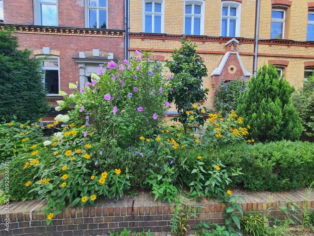 bushes with wonderful flowers at appartement area in Berlin Treptow/Löpenick bushes with wonderful flowers at appartement area in Berlin Treptow/Löpenick
