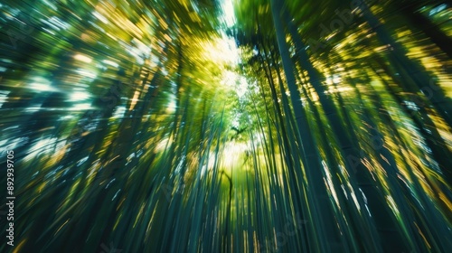 Blurred bamboo trees in spinning motion for design backgrounds