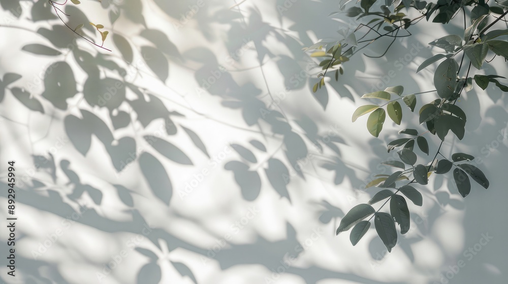 Blurred leaf shadows and light on white wall with tree branch overlay Blurred leaf shadows and light on white wall with tree branch overlay