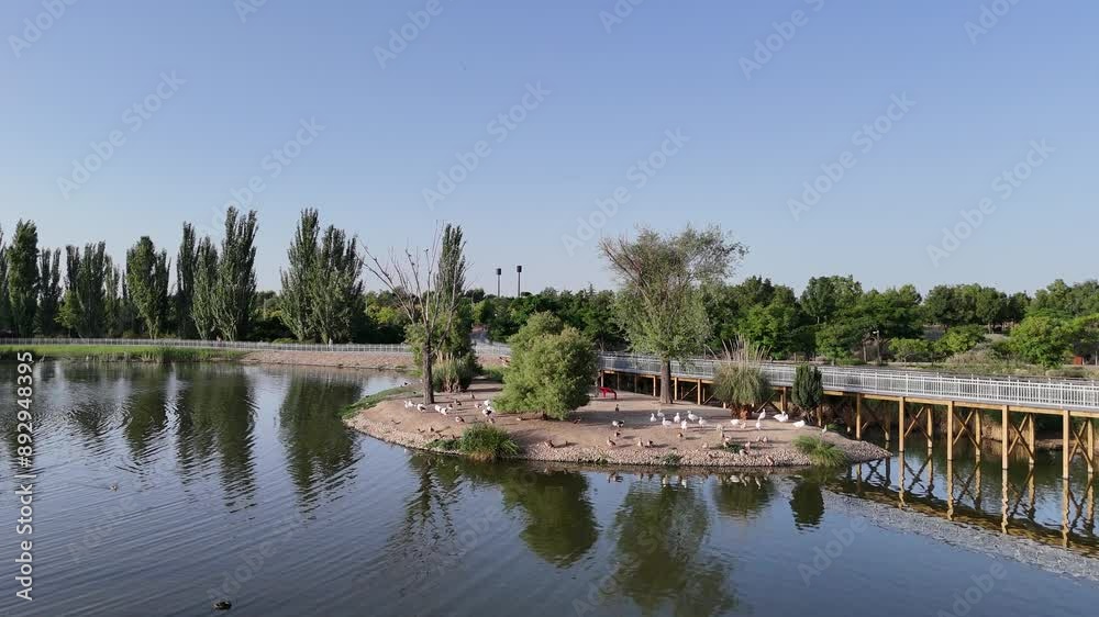 Toma aérea de un lago de un parque con arboles y áreas verdes, de fondo la ciudad urbana. Toma aérea de un lago de un parque con arboles y áreas verdes, de fondo la ciudad urbana.