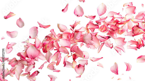 Photo of vibrant pink rose flowers petals falling on transparent background, png file. Petal rain, Wedding celebration, Valentines day card, romantic overlay