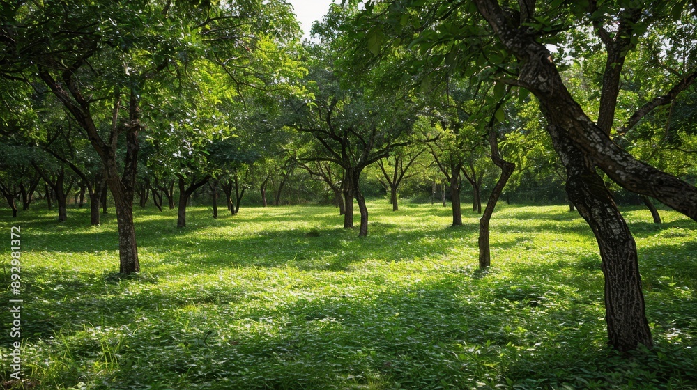 Agroforestry: A practice combining trees and shrubs with crops and livestock, fostering more diverse, productive, and sustainable agricultural systems.
