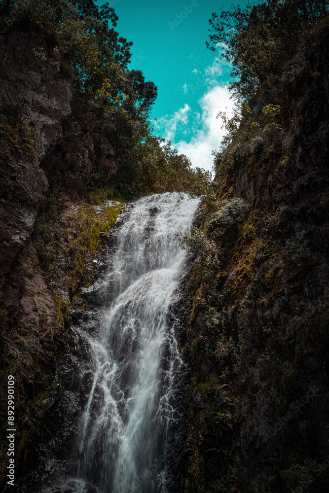 La Cascada del Bosque Encantado La Cascada del Bosque Encantado