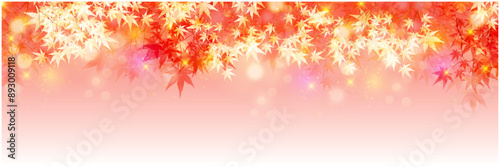 紅葉　葉　秋　背景	