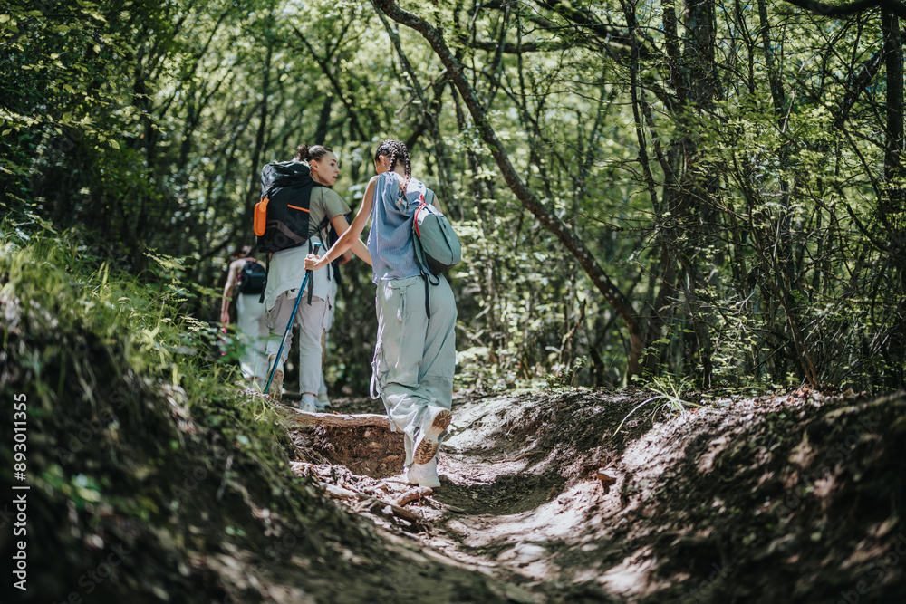 Group of friends exploring nature on a forest hike, enjoying the adventure and fresh air. Perfect for outdoor activities, travel, and friendship themes. Group of friends exploring nature on a forest hike, enjoying the adventure and fresh air. Perfect for outdoor activities, travel, and friendship themes.