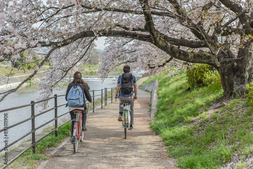 Landscape View Of  Kamokawa River With Beautiful Cherry Blossoms, Kyoto, Japan