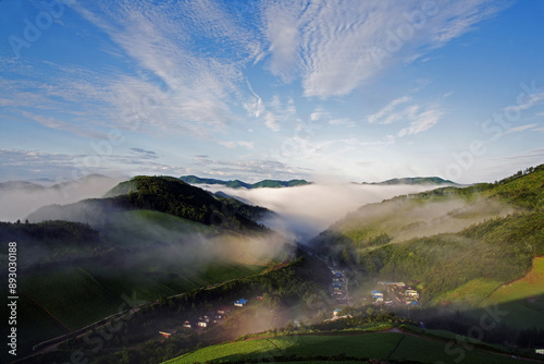 Summer and morning view of cabbage field and houses of a village with sea of clouds on the mountain at Gwinemi village of Taebaek-si, South Korea 