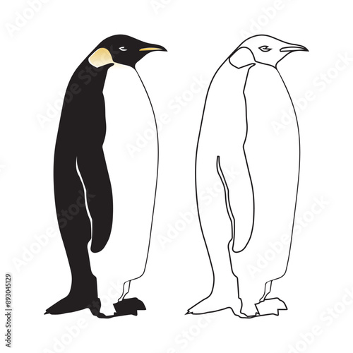 Penguin Colorful Line Art Vector Illustration