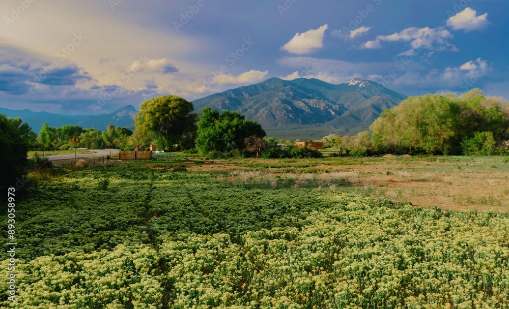 Farmland and mountain range in Taos, New Mexico, United States Of America. Farmland and mountain range in Taos, New Mexico, United States Of America.