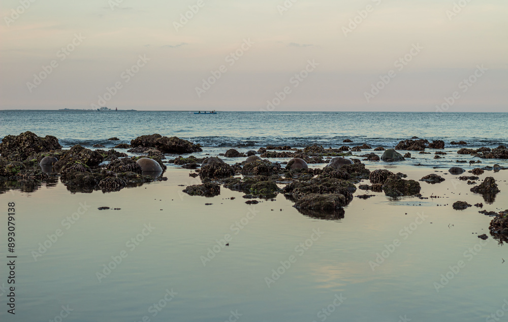 Evening atmosphere on the coral rocky coastline at low tide Evening atmosphere on the coral rocky coastline at low tide