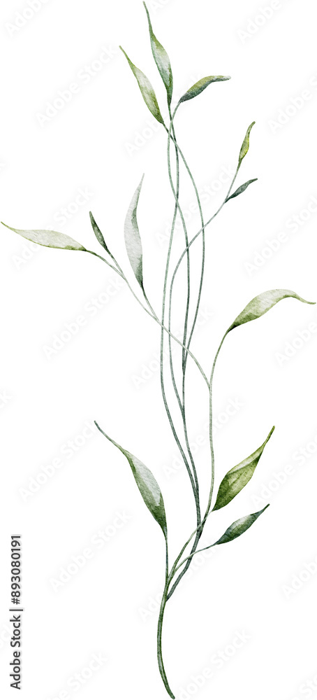 Watercolor botanical leaves branch Watercolor botanical leaves branch
