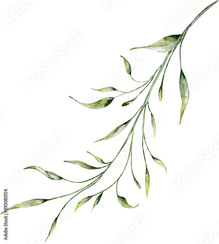 Watercolor botanical leaves branch