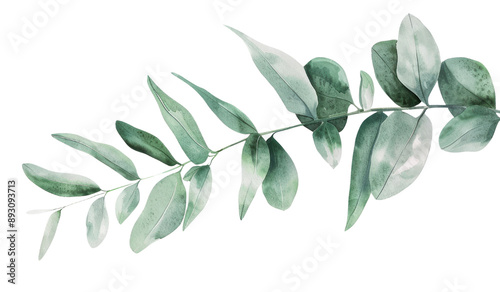 A long branch with leaves in watercolor clip art is isolated against a transparent background in full color.