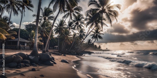 beautiful tropical beach with palm trees and sea