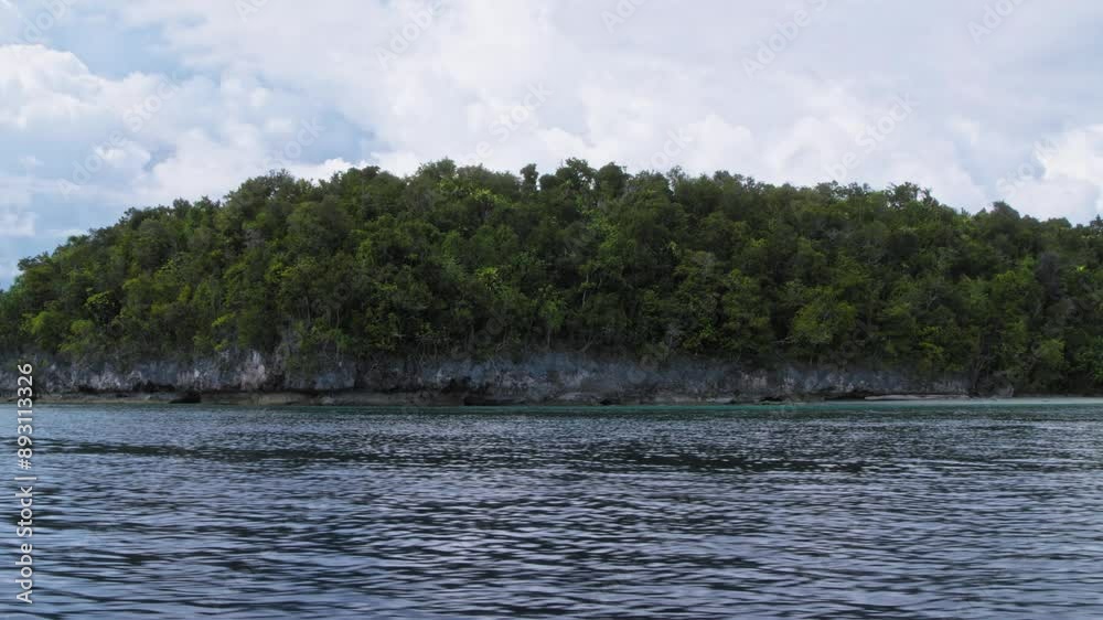The coastline of Kri Island, Raja Ampat, Indonesia, captured from a moving boat. The shot showcases lush green vegetation atop rocky cliffs, with calm blue waters in the foreground. The coastline of Kri Island, Raja Ampat, Indonesia, captured from a moving boat. The shot showcases lush green vegetation atop rocky cliffs, with calm blue waters in the foreground.