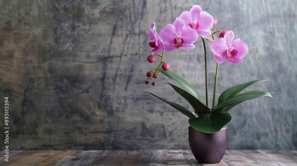 Potted lavender orchid