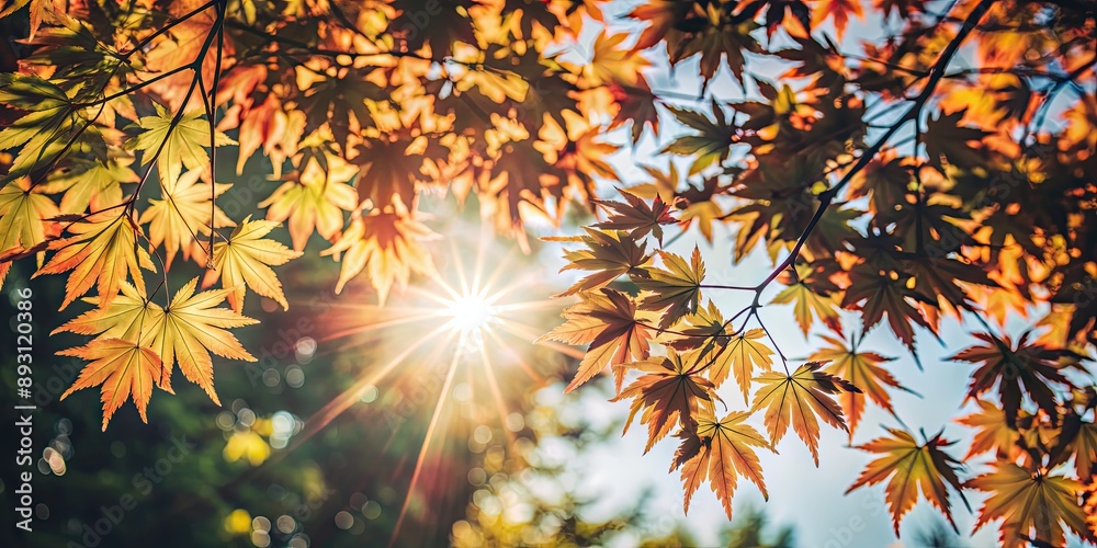 Bright sun shining through maple leaves, creating a warm and natural summer background, Sunlight, Maple leaves, Summer, Warmth, Nature
