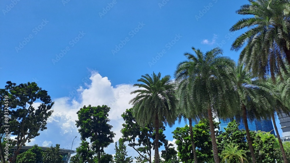 Fototapeta premium Blue Sky with Pretty Cloud In Singapore