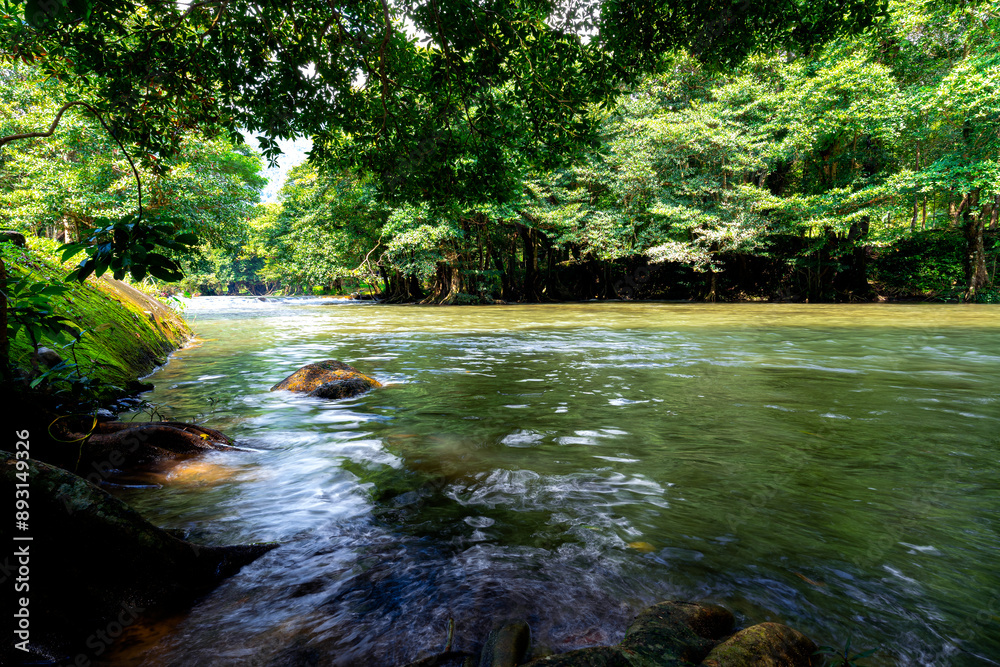 Obraz premium Leading lines and shade. The turbulent flow of dark water canal during the flood season and fertile forests. In the countryside of Thailand.