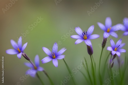 Blue eyed grass flowers bokeh background, Ai Generated photo