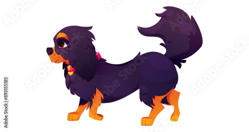 Cavalier charles king spaniel dog isolated cartoon. Black and brown nice running purebred pet character. Popular cute walking english puppy side with red collar and gold heart smiling clipart.