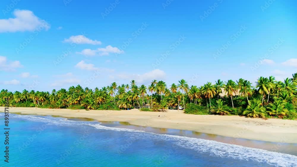Sea tropical landscape of palm Indonesian beach. Coast of the Indian Ocean, Sri Lanka. Summer landscape of paradise nature with sea water on a tropical palm beach. Sea tropical landscape of palm Indonesian beach. Coast of the Indian Ocean, Sri Lanka. Summer landscape of paradise nature with sea water on a tropical palm beach.