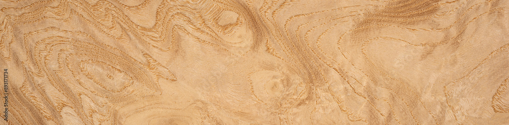 Fototapeta premium Ash root veneer displaying intricate grain patterns and natural wood beauty